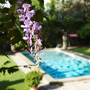 Hotel Park Palace, Florencie